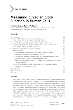 Measuring Circadian Clock Function in Human Cells