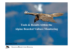 International Bearded