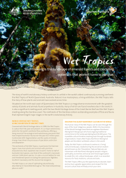 Wet Tropics - Ecotourism Australia
