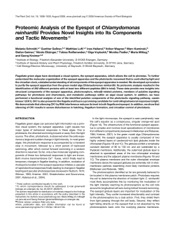 Proteomic Analysis of the Eyespot of