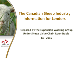 The Canadian Sheep Industry Information for Lenders