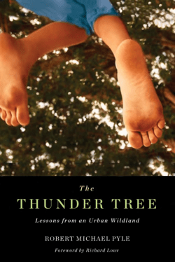 The Thunder Tree - OSU Press