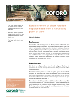Establishment of Short Rotation Coppice seen from a