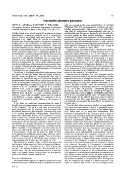 Non-specific adsorptive pinocytosis