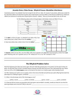 Dihybrid Crosses