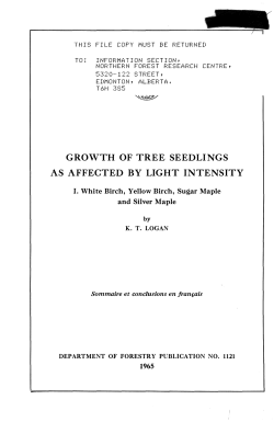 growth of tree seedlings as affected by light intensity