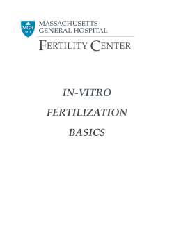 in-vitro fertilization basics