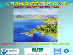 Branko Čermelj - MIB: National institute of