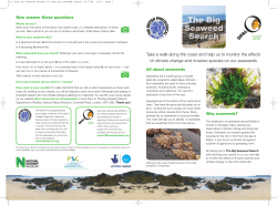 Seaweed guide - Open Air Laboratories