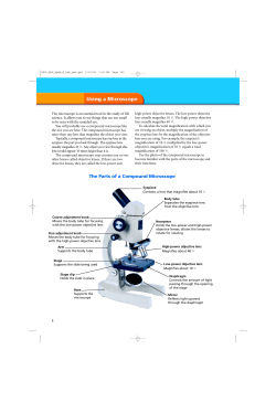 The Parts of a Compound Microscope