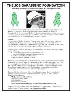 garassino 2-7 3x10 827401 - The Joe Garassino Foundation