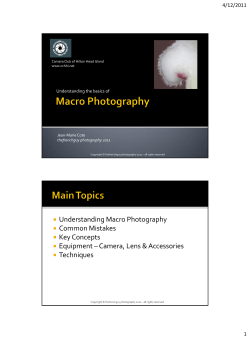 Macro Photography - Thefrenchguy&trade; Photography