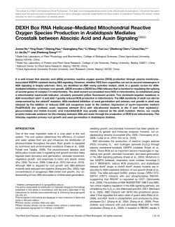 DEXH Box RNA Helicase&ndash;Mediated Mitochondrial
