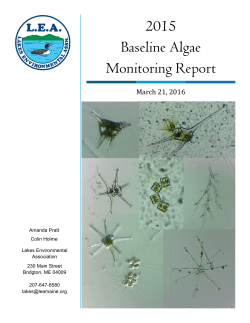 2015 Baseline Algae Monitoring Report