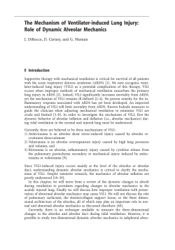 The Mechanism of Ventilator-induced Lung Injury: Role of Dynamic