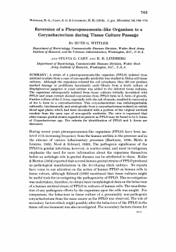Reversion of a Pleuropneumonia -like Organism to a