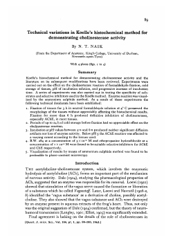 Technical variations in Koelle`s histochemical method for