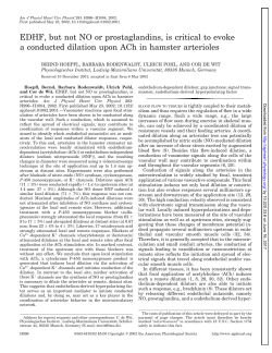 EDHF, but not NO or prostaglandins, is critical to evoke a conducted