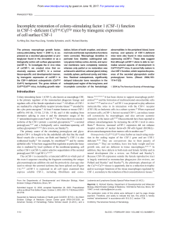 CSF-1 - Blood Journal