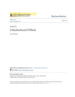 A Brotherhood Of Birds