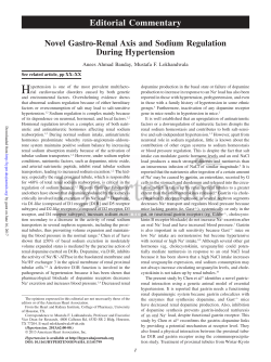 Editorial Commentary