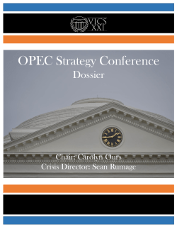OPEC Strategy Conference - International Relations Organization