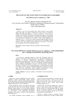 THE STUDY OF THE TOXIC EFFECTS OF MERCURY-II