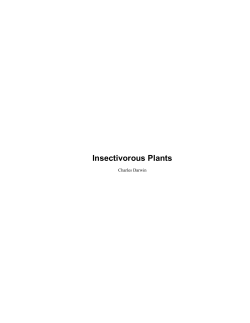 Insectivorous Plants - SearchEngine.org.uk