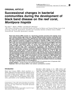 Successional changes in bacterial communities during the