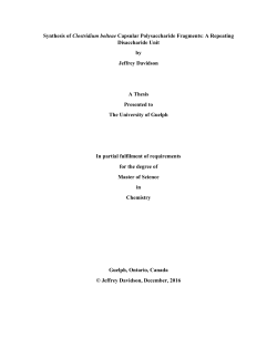 Synthesis of Clostridium bolteae Capsular
