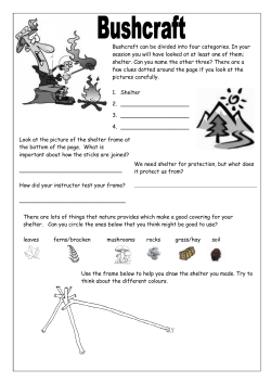 Bushcraft can be divided into four categories. In your