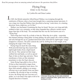Flying Frog