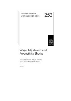 No. 253 Wage Adjustment and Productivity Shocks