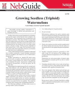 Growing Seedless (Triploid) Watermelons