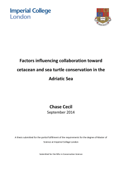 Factors influencing collaboration toward cetacean and sea turtle