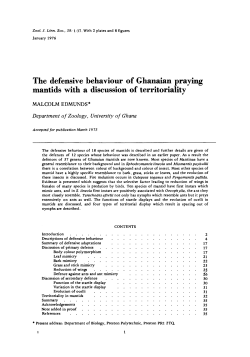 The defensive behaviour of Ghanaian praying mantids with a