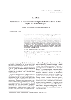 Optimalization of Fluorescence in situ Hybridization
