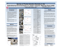 Survey of Protist Genetic Diversity in the Hydrothermal