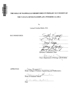 THE ROLE OF MAMMALIAN HERBIVORES IN PRIMARY