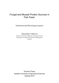Fungal and Mussel Protein Sources in Fish Feed