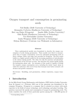 Oxygen transport and consumption in germinating seeds