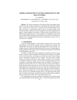 MODELS FOR PIGMENT PATTERN FORMATION IN THE SKIN OF