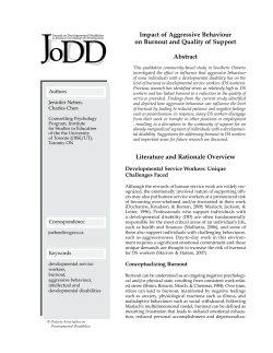 Impact of Aggressive Behaviour on Burnout and Quality of Support