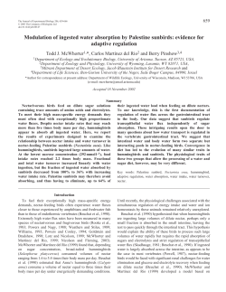 Modulation of ingested water absorption by Palestine sunbirds