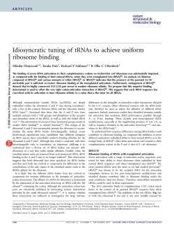 Idiosyncratic tuning of tRNAs to achieve uniform ribosome binding