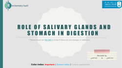 Role of salivary glands and stomach in digestion