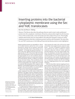 Inserting proteins into the bacterial cytoplasmic membrane using the