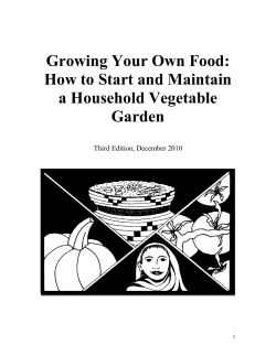 Growing Your Own Food - The Kossoye Development Program