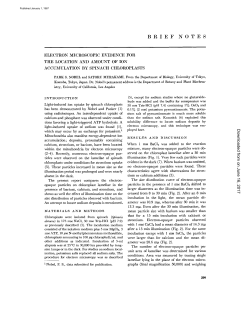ELECTRON MICROSCOPIC EVIDENCE FOR THE LOCATION AND