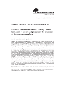 Seasonal dynamics in cambial activity and the formation of xylem